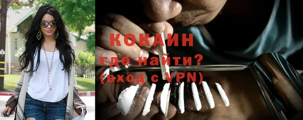 молекула духа Ладушкин