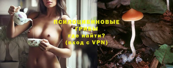 герыч Лагань