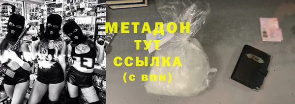 молекула духа Ладушкин