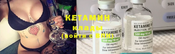 молекула духа Ладушкин