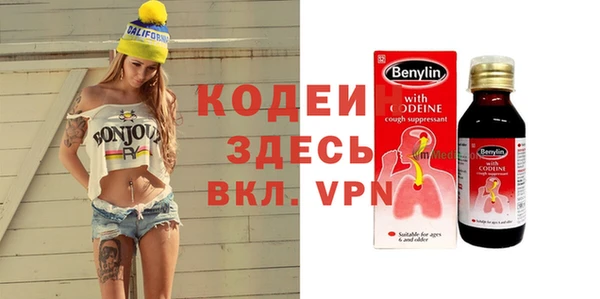 молекула духа Ладушкин