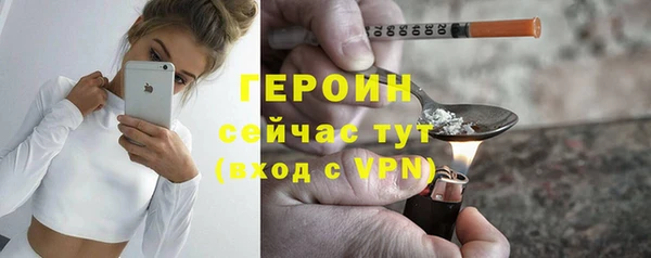 молекула духа Ладушкин