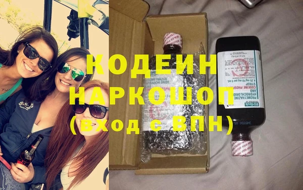 молекула духа Ладушкин
