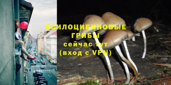 молекула духа Ладушкин